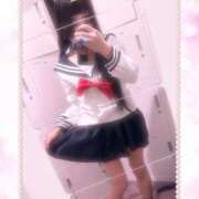 ヒメ日記 2025/04/11 15:01 投稿 ふゆ ベイビーモコ