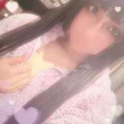 ヒメ日記 2025/04/12 11:52 投稿 ふゆ ベイビーモコ