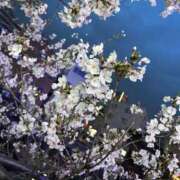 ヒメ日記 2025/04/14 23:30 投稿 ふゆ ベイビーモコ