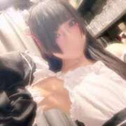 ヒメ日記 2025/06/06 11:57 投稿 ふゆ ベイビーモコ