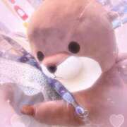 ヒメ日記 2025/06/27 14:25 投稿 ふゆ ベイビーモコ