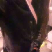 ヒメ日記 2025/07/07 11:43 投稿 ふゆ ベイビーモコ