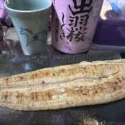 ヒメ日記 2025/08/09 14:19 投稿 ふゆ ベイビーモコ