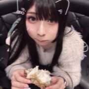 ヒメ日記 2025/10/16 11:38 投稿 ふゆ ベイビーモコ