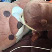 ヒメ日記 2025/11/21 13:48 投稿 ふゆ ベイビーモコ