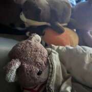 ヒメ日記 2025/11/22 22:27 投稿 ふゆ ベイビーモコ