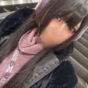 ヒメ日記 2025/12/08 16:22 投稿 ふゆ ベイビーモコ