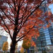 ヒメ日記 2025/12/11 18:47 投稿 ふゆ ベイビーモコ