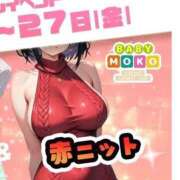 ヒメ日記 2026/03/27 11:44 投稿 ふゆ ベイビーモコ