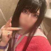 ヒメ日記 2026/03/31 13:16 投稿 ふゆ ベイビーモコ