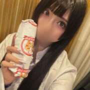 ヒメ日記 2026/04/07 15:25 投稿 ふゆ ベイビーモコ