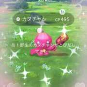 ヒメ日記 2026/04/11 14:27 投稿 ふゆ ベイビーモコ