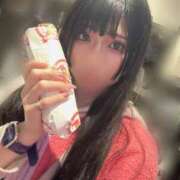 ヒメ日記 2026/04/27 14:01 投稿 ふゆ ベイビーモコ