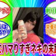 ヒメ日記 2026/05/05 14:30 投稿 ふゆ ベイビーモコ