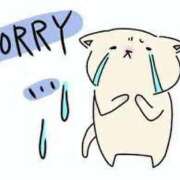 ヒメ日記 2025/06/05 14:00 投稿 なぎさ 福盛