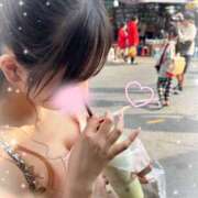 ヒメ日記 2025/04/04 09:48 投稿 平谷なお elumo(エルモ)