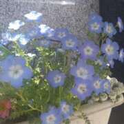 ヒメ日記 2025/04/13 19:31 投稿 リムル 【福岡デリヘル】20代・30代★博多で評判のお店はココです！