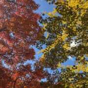 ヒメ日記 2025/11/21 18:03 投稿 Asuka ワンカラット～人妻の輝き～