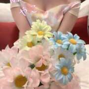 ヒメ日記 2025/03/25 16:02 投稿 やこ 渋谷蘭の会