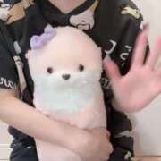 ヒメ日記 2025/03/31 00:02 投稿 やこ 渋谷蘭の会