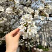 ヒメ日記 2025/04/09 22:21 投稿 やこ 渋谷蘭の会