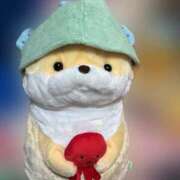 ヒメ日記 2025/05/17 18:02 投稿 やこ 渋谷蘭の会