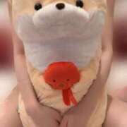 ヒメ日記 2025/05/20 16:51 投稿 やこ 渋谷蘭の会