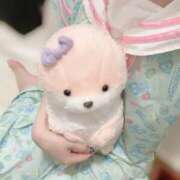 ヒメ日記 2025/06/13 23:21 投稿 やこ 渋谷蘭の会