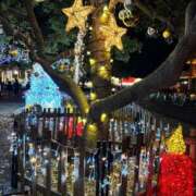 ヒメ日記 2025/12/22 13:25 投稿 やこ 渋谷蘭の会