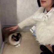 ヒメ日記 2025/04/14 01:20 投稿 むーたん まだ舐めたくて学園渋谷校〜舐めたくてグループ〜