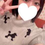 ヒメ日記 2025/08/10 18:20 投稿 むーたん まだ舐めたくて学園渋谷校〜舐めたくてグループ〜