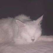 ヒメ日記 2025/07/30 12:02 投稿 ゆず ぷるるん小町 京橋店