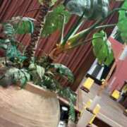 ヒメ日記 2025/09/02 13:53 投稿 みくろ CLUB DEEP 博多