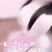 ヒメ日記 2025/03/20 19:00 投稿 まみ 五反田人妻ヒットパレード（シンデレラグループ）