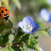 ヒメ日記 2025/06/29 13:25 投稿 ふあり 大宮ウィング