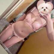 ヒメ日記 2025/05/11 09:22 投稿 あおば チューリップ福井別館