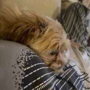 ヒメ日記 2025/06/15 09:28 投稿 あおば チューリップ福井別館