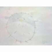 らん☆過去１番！？の美少女 🐡☀️おはようございます☀️🐡 バーニング（BURNING）