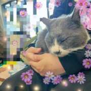 ヒメ日記 2026/03/17 10:28 投稿 みらい 丸妻 厚木店