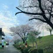 ヒメ日記 2026/04/07 17:52 投稿 みらい 丸妻 厚木店