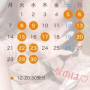 ヒメ日記 2025/04/04 17:06 投稿 なのは 鹿鳴館