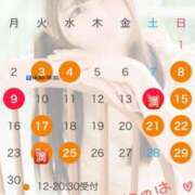 ヒメ日記 2025/05/29 00:06 投稿 なのは 鹿鳴館