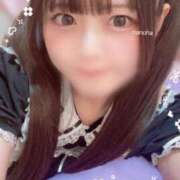 ヒメ日記 2025/10/11 02:46 投稿 なのは 鹿鳴館