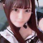 ヒメ日記 2026/01/26 11:10 投稿 なのは 鹿鳴館