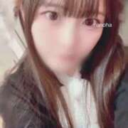 ヒメ日記 2026/01/27 20:26 投稿 なのは 鹿鳴館