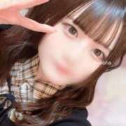 なのは 癒し🍀 鹿鳴館