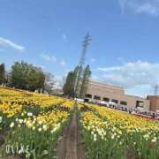 ヒメ日記 2025/05/06 14:44 投稿 あいな WHITE（金沢）