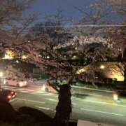 ヒメ日記 2025/04/07 21:14 投稿 まや WHITE（金沢）