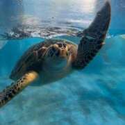 ヒメ日記 2025/06/22 22:37 投稿 まや WHITE（金沢）