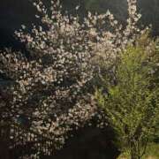 ヒメ日記 2026/04/08 23:14 投稿 まや CLUB ROOKIE（ルーキー）